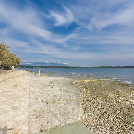Apartment Lion Novigrad  Ngoại thất bức ảnh