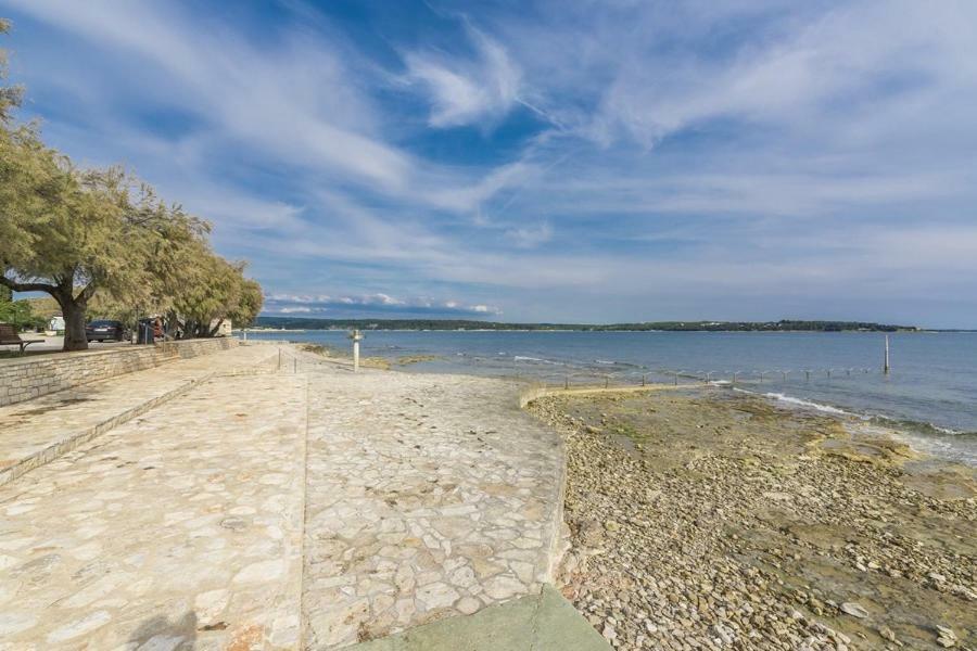 Apartment Lion Novigrad  Ngoại thất bức ảnh