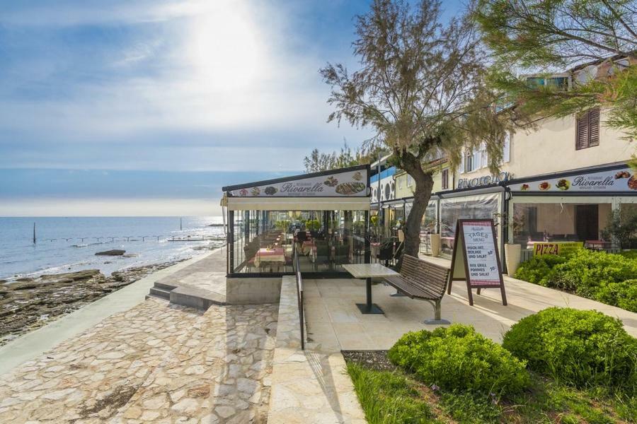 Apartment Lion Novigrad  Ngoại thất bức ảnh