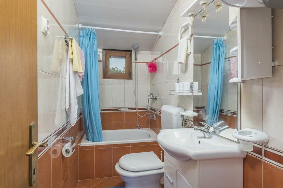 Apartment Lion Novigrad  Ngoại thất bức ảnh
